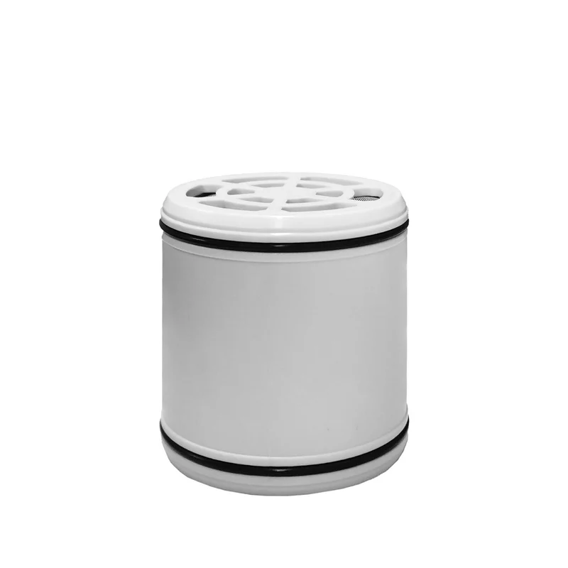 Replacement Cartridge for Shower Head with Rainfall Spray