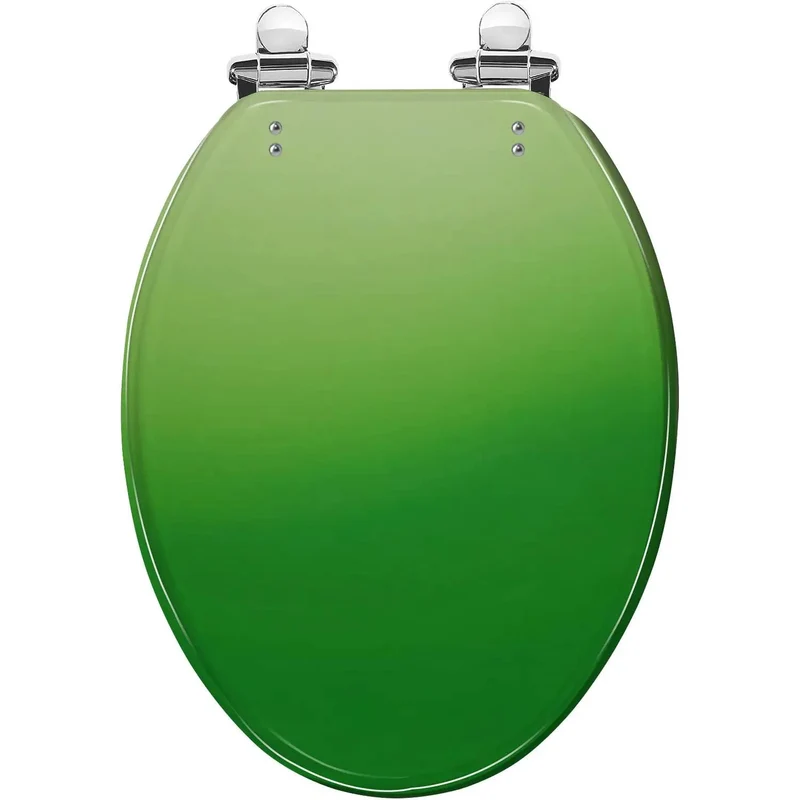 Premier Elongated Toilet Seat Featuring Hella Sturdy Resin Construction And Universal Bowl Compatibility For Standard Bathrooms No Sweat Quick Install Hardware Included Total Home Reno Glow Up