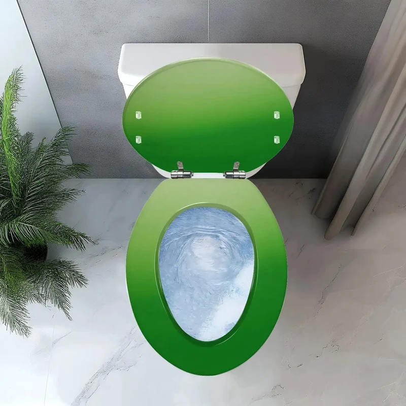 Premier Elongated Toilet Seat Featuring Hella Sturdy Resin Construction And Universal Bowl Compatibility For Standard Bathrooms No Sweat Quick Install Hardware Included Total Home Reno Glow Up