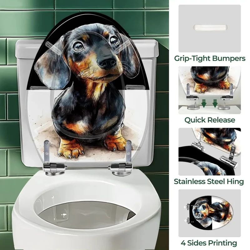 Soft Close Elongated Toilet Seat Featuring Quiet Slow Shut Hinges Universal Standard Bowl Fit Easy Install Hardware Included Built Tough Everyday Comfort Big Time Bath Upgrade