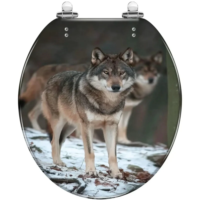 Round Resin Toilet Seat With Universal Adjustable Mounting Hardware For Standard Sizes Slick Smooth Finish And Totally Hassle Free Replacement For Dependable Daily Bathroom Use