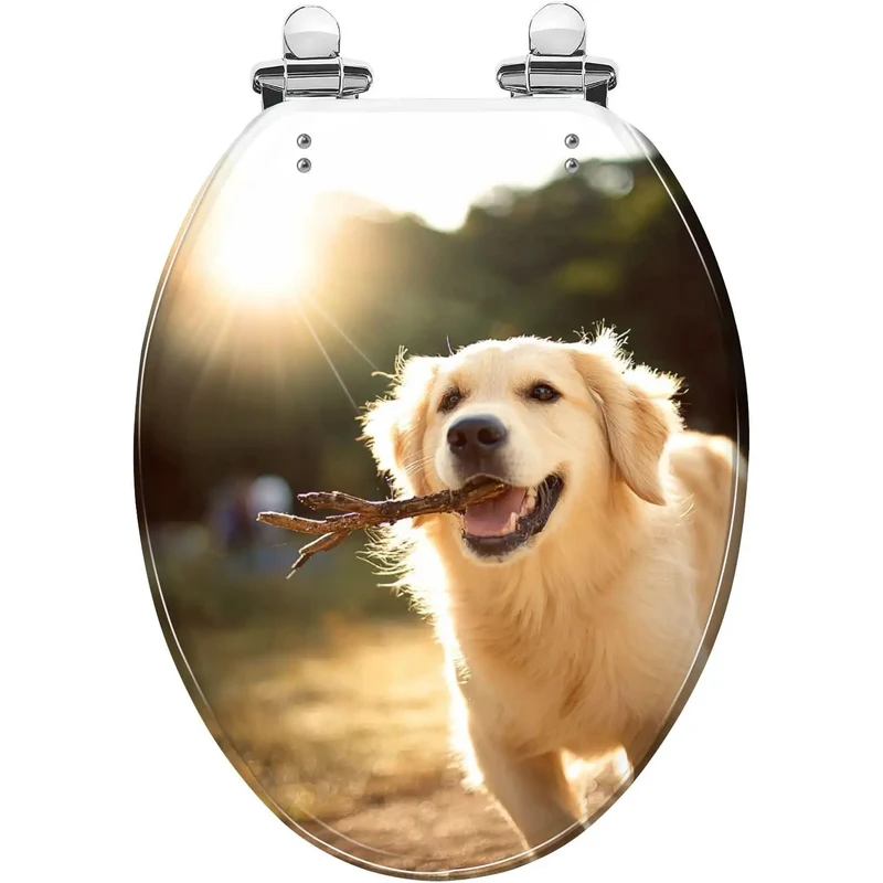 Top Shelf Elongated Toilet Seat Decked Out With Gentle Soft Close Hinges For A Dead Simple Bathroom Install That Matches Your Standard Toilet Pretty Spot On
