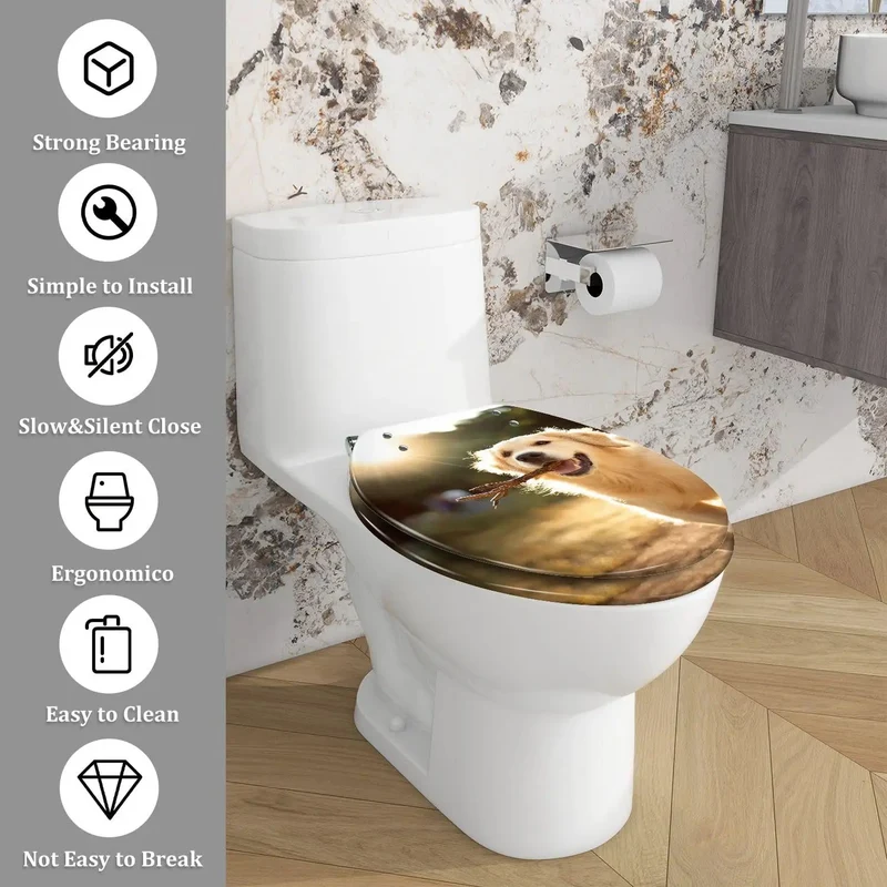 Top Shelf Elongated Toilet Seat Decked Out With Gentle Soft Close Hinges For A Dead Simple Bathroom Install That Matches Your Standard Toilet Pretty Spot On