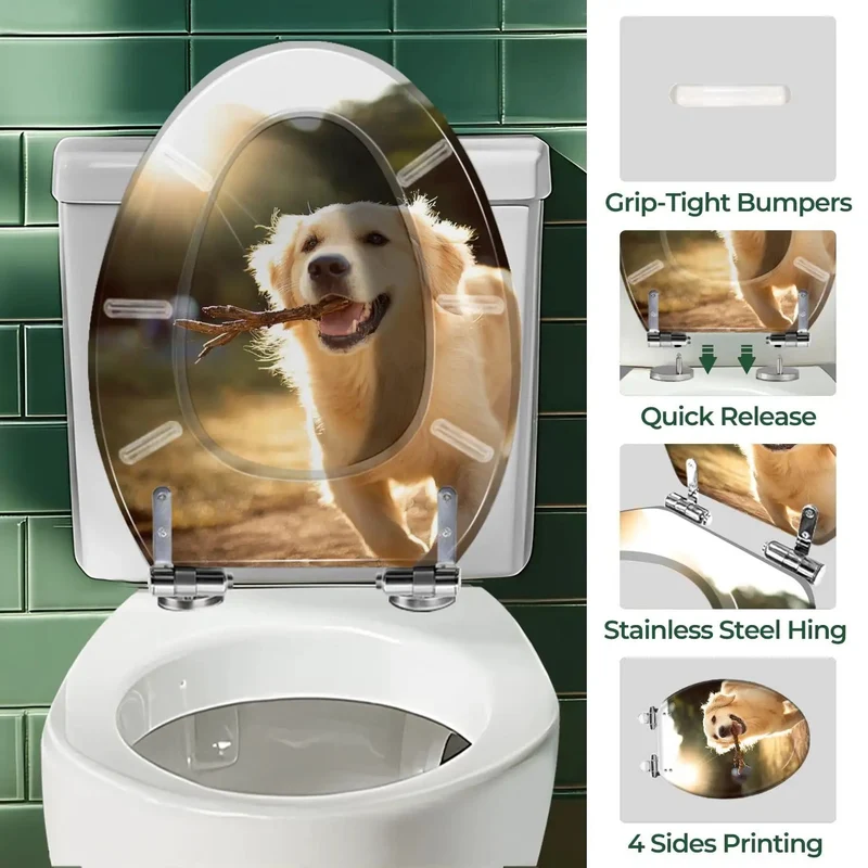 Top Shelf Elongated Toilet Seat Decked Out With Gentle Soft Close Hinges For A Dead Simple Bathroom Install That Matches Your Standard Toilet Pretty Spot On