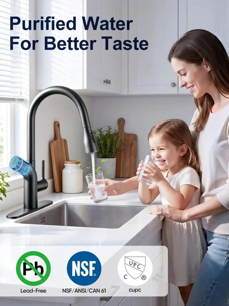 Top Shelf Matte Black Kitchen Faucet Featuring Pull Down Sprayer And Built In Activated Carbon Filter Giving You Hella Clean Drinking Water Every Single Day