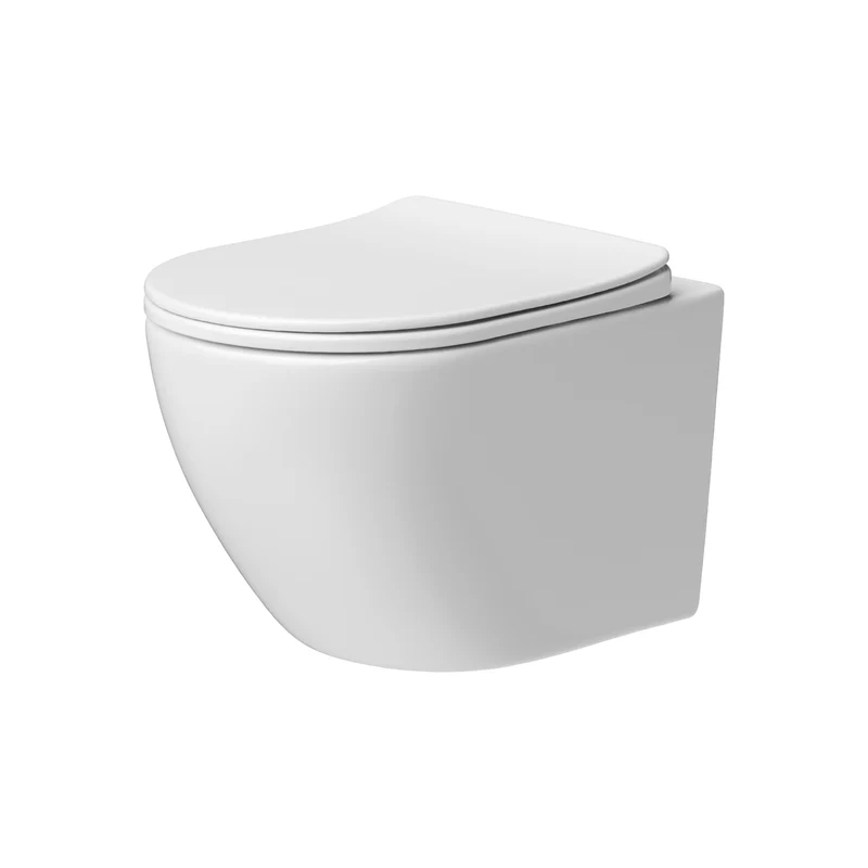 Wand-WC X-Joy S FlashClean spülrandlos mit WC-Sitz – CXB1701SC