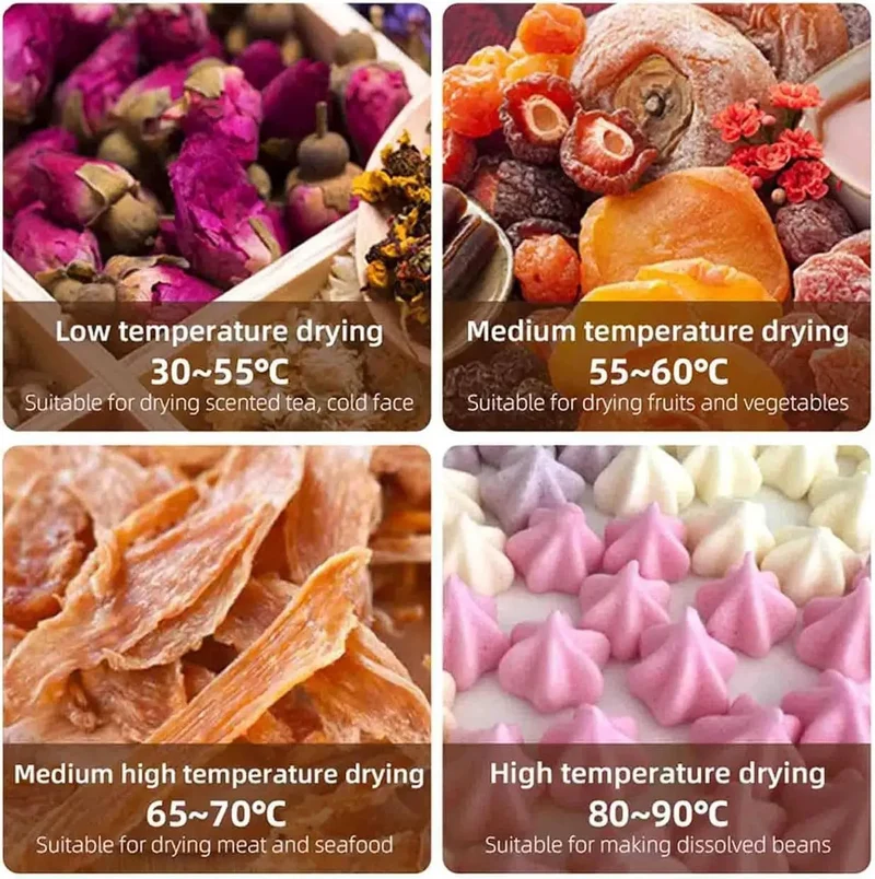 Heavy Duty Workhorse Stainless Steel Freeze Dryer And Electric Food Dehydrator With Smart 12 Hour Countdown Timer And Straight Up Precise Temperature Controls For Top Shelf Homemade Jerky Fresh Kitchen Herbs Garden Vegetables And Premium Dog Treats