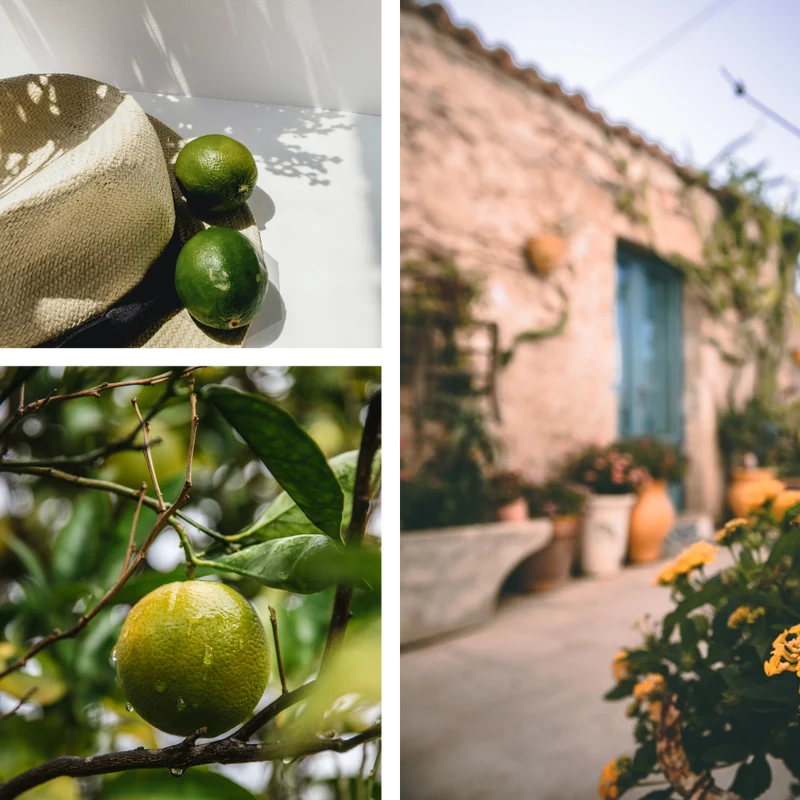 DUSCHSCHAUM PULVER | Pure Bergamot