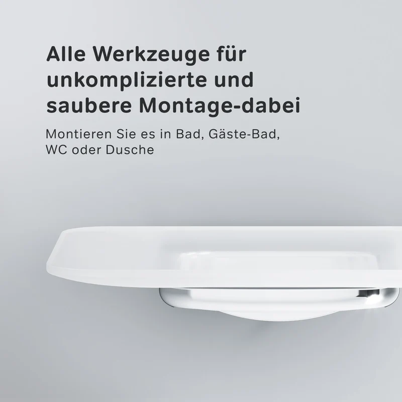 Seifenschale Inspire V2.0 aus Glas mit Wandhalterung – AIB34200