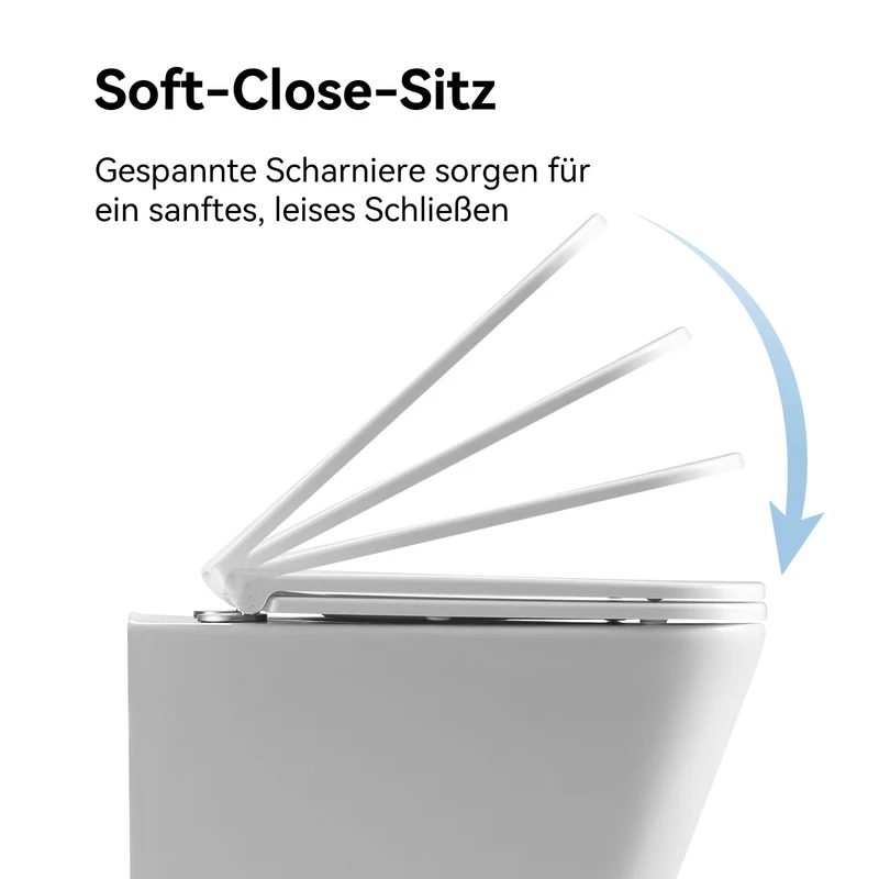 HOROW UG07S Spülrandloses Wand-WC