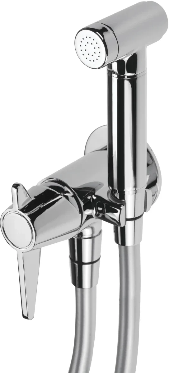 DEANTE Temisto Unterputz-Bidetarmatur mit Bidetta-Handbrause // Chrom // BQT-034M