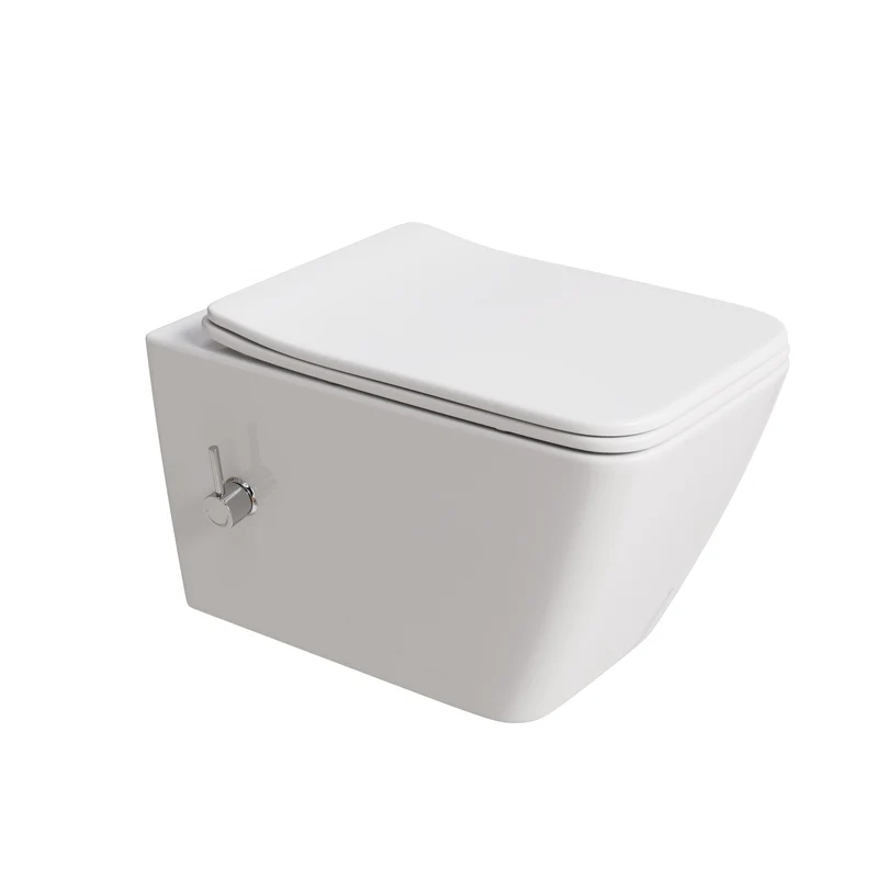 HOROW HB-L02U Wand Dusch-WC spülrandlos