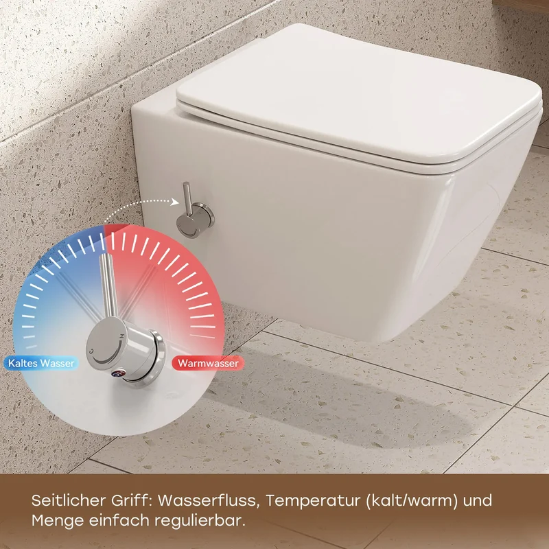 HOROW HB-L02U Wand Dusch-WC spülrandlos