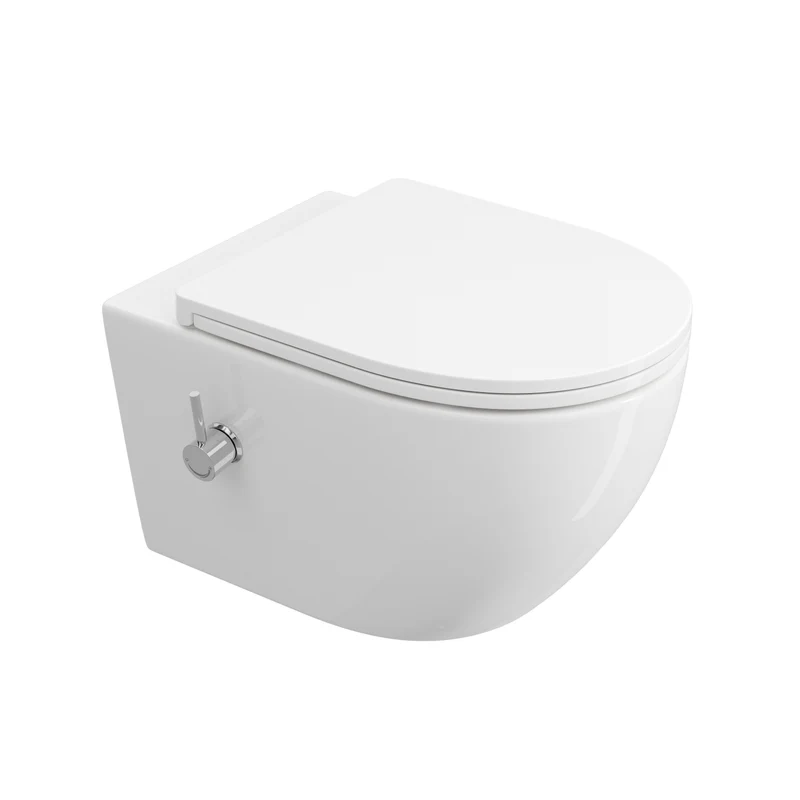 HOROW HB-L01U Wand-Dusch-WC, spülrandlos & wandhängend