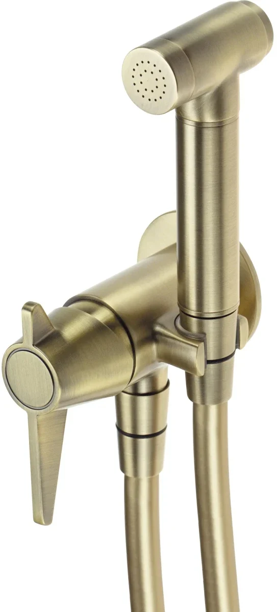 DEANTE Temisto Unterputz-Bidetarmatur mit Bidetta-Handbrause // Messing // BQT-M34M