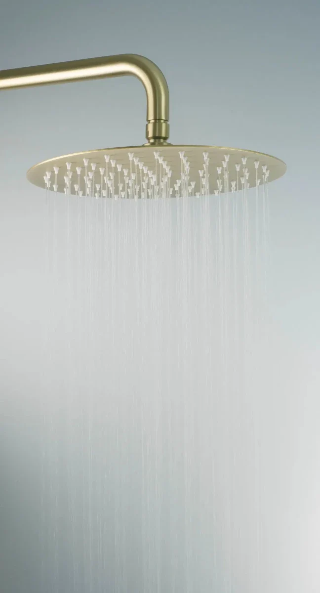 DEANTE Arnika Duschsystem mit Regenbrause // gebürstetes Gold // NAC-R1QK