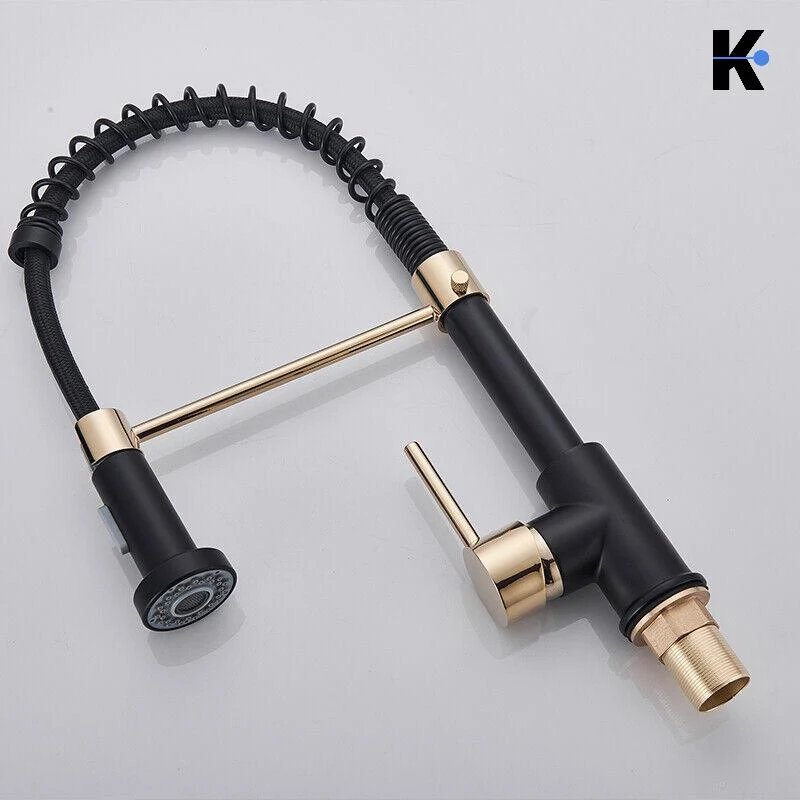 Flexible Küchenarmatur "Bernd" - Schwarz/Gold