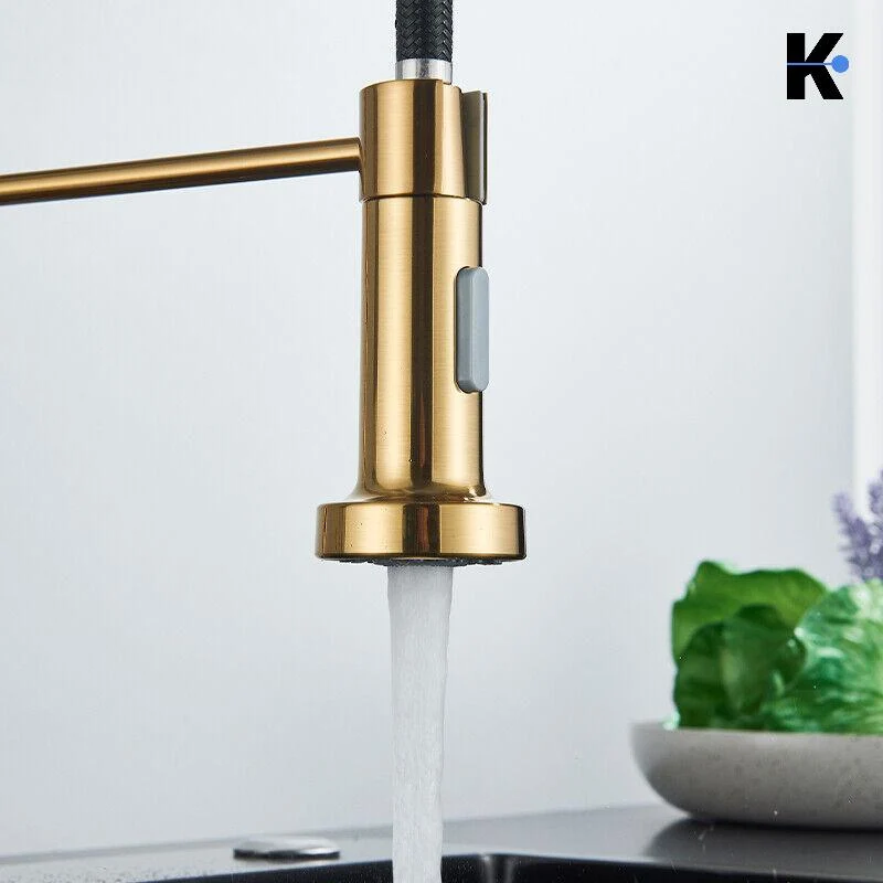 Flexible Küchenarmatur "Bernd" - Gold