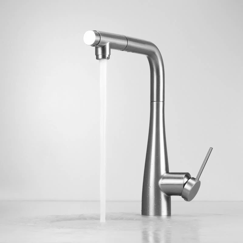 DEANTE Eridan Küchenarmatur mit Anschluss für Wasserfilter und ausziehbarer Auslaufbrause // gebürsteter Stahl // BRE-F75M