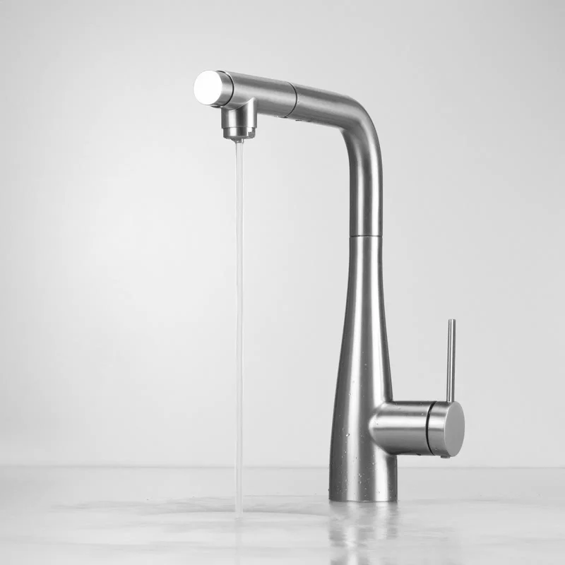 DEANTE Eridan Küchenarmatur mit Anschluss für Wasserfilter und ausziehbarer Auslaufbrause // gebürsteter Stahl // BRE-F75M