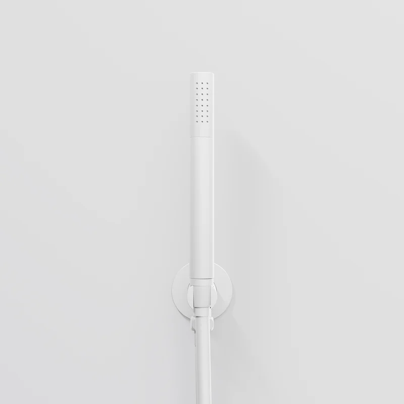 Serie 100 Handbrausegarnitur