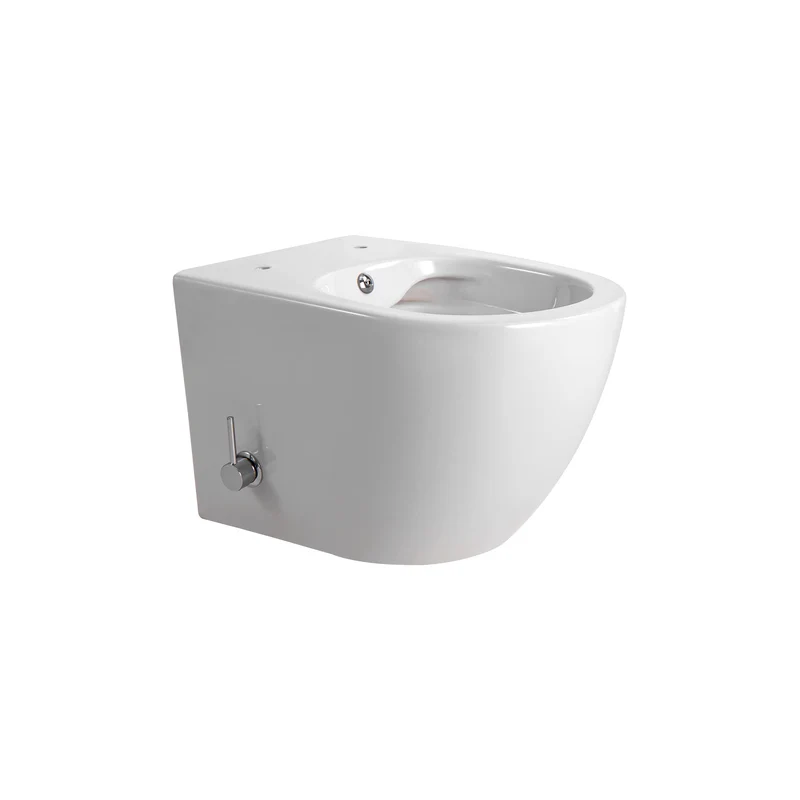 Oase DL Wand-WC spülrandlos mit Bidet-Funktion inkl. integrierter Kalt Armatur - 49 CM