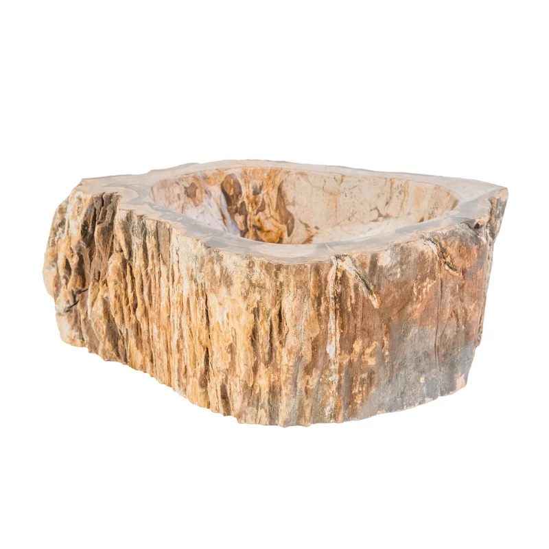 Waschbecken Fossil Holz