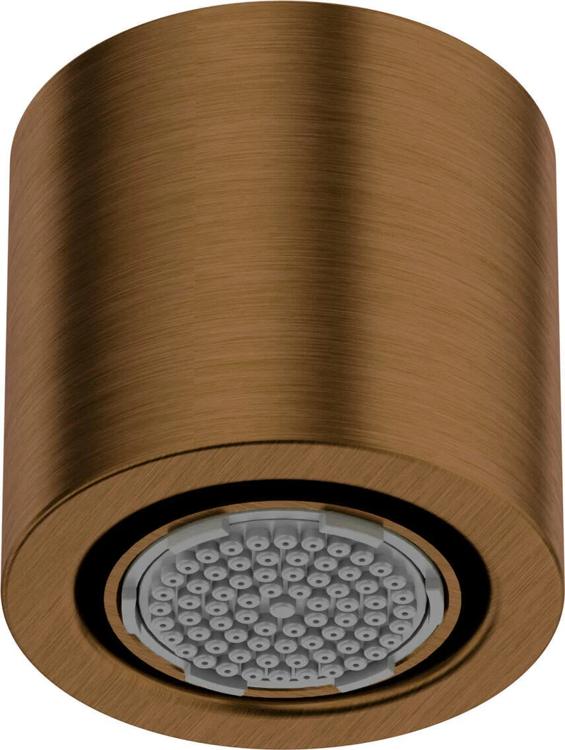 DEANTE Silia Duschkopf // gebürstete Bronze // NQS-C30K